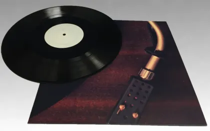 12 Inch Music Vinyl Record Production (Long Play)