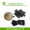 Pure Natural Propolis Extract Flavone Powder 10% Price