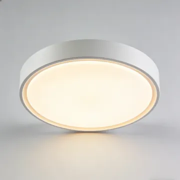 Energy efficient ceiling lamp