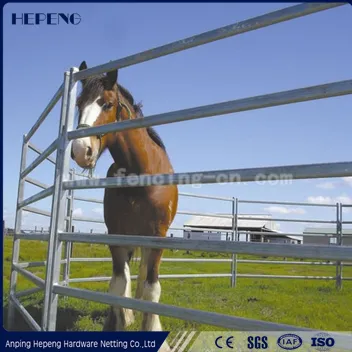 Horse fence for farm security