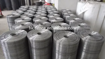 1/4" mesh hot-dipped galvanized welded wire mesh