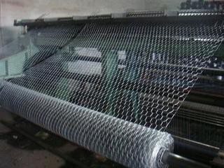 Hexagonal Wire Mesh