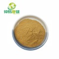 Polygonatum Extract Powder 10: 1 Polygonatum odoratum