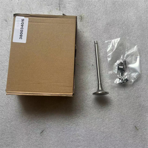 6745-19-4210 Intake Valve Suitable Engine No,SAA6D114E-3D