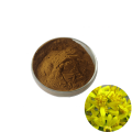 Golden Rod extract Golden Rod extract powder