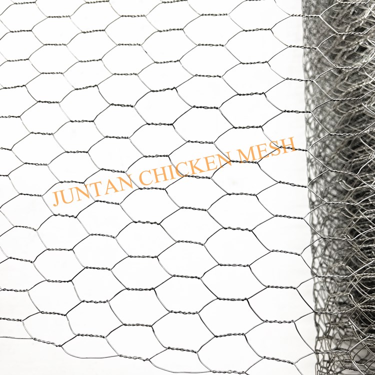 Tissage de filet de fil hexagonal pour la race végétale