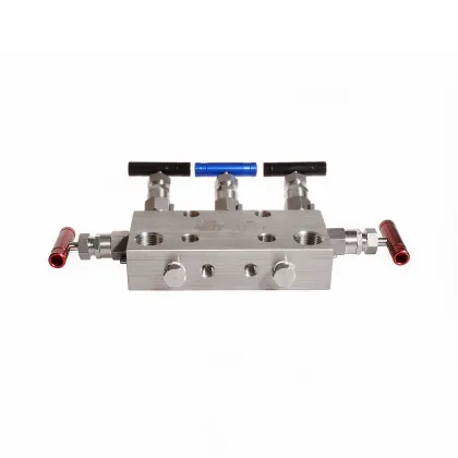 6000psi Stainless Steel Instrument Air 5-Valve Manifold with Needle Valve
