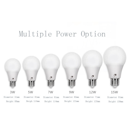 Plastic Bulb and Bulb Holder Multi Power Option