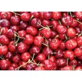 Acerola Cherry freeze dried powder for food additive