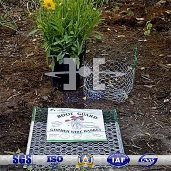 5 twist Hexagonal wire netting baskets for Tree Root guard