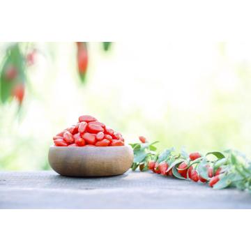 Certified Top grade Organic goji berry