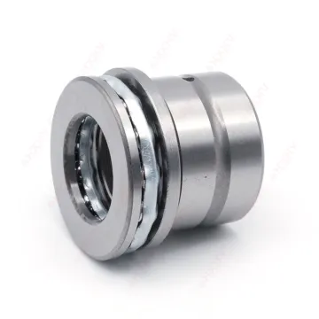 NKX20-Z-XL 20x30x30mm HXHV Chrome Steel Needle Roller Bearing