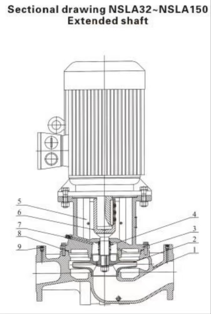 pic1