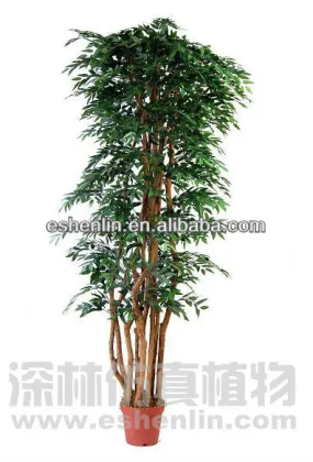 big artificial eucalyptus trees(ten trunks),plastic trees