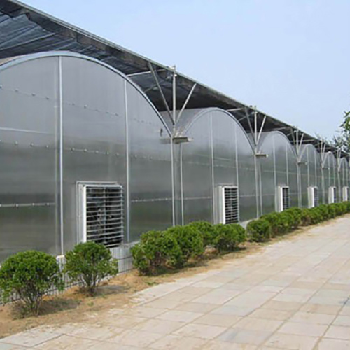 Green Poly Multi-Span Arch PC Greenhouse