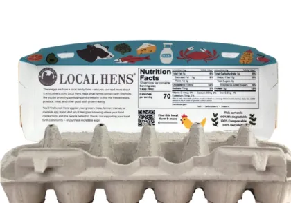 Hybrid 12-Egg Carton for Fresh Egg Storage