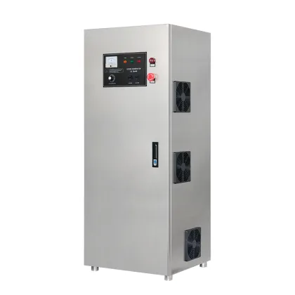 Professional 100g PLC Ozone Generator for Textile Washing and Bleaching