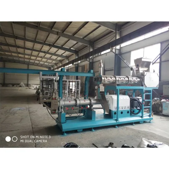 Twin Screw Extruder for Fish Feed Production