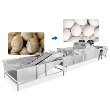 Automatic Quail and Chicken Egg Cleaning Machine - Egg Washer Price