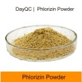 phlorizin powder apple extract in bulk