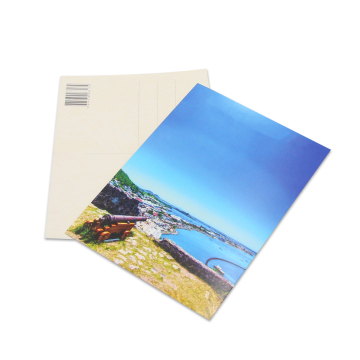 Custom Printed Happy Birthday Greeting Cards with Envelopes - Bulk Pack of Blank Paper Cards and Postcards