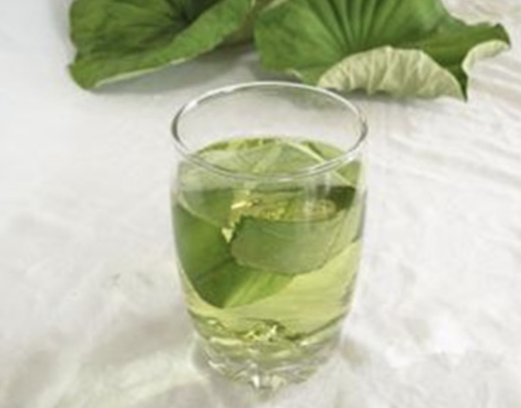 Eupatorium Fortunei Extract