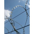 Galvanizado PVC Flat Concertina Razor Wire