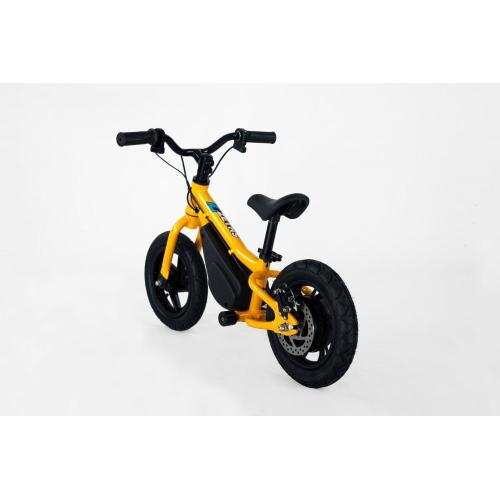 China Youth Electric balance bike Supplier