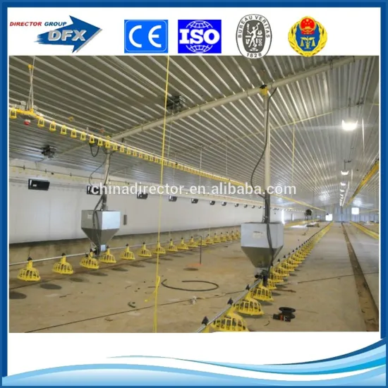 low cost steel structure broiler poultry shed design hen house building