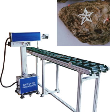 CO2 Flying Laser Marking Machine for Oyster Seafood