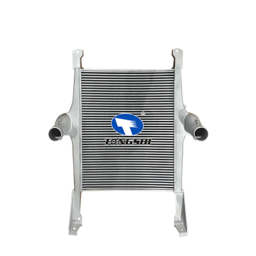 Auto Intercooler for IVECO Stralis AS 440S48