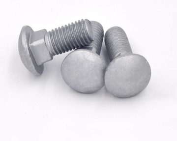 Stainless/Carbon steel Carriage bolts