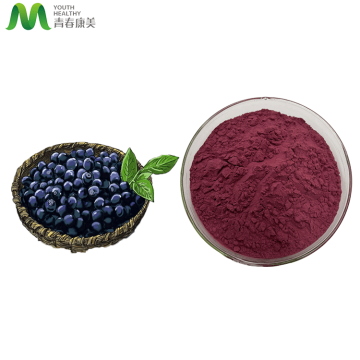 The Best Acai Berry Powder Wholesale