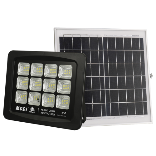 motion activated solar flood light