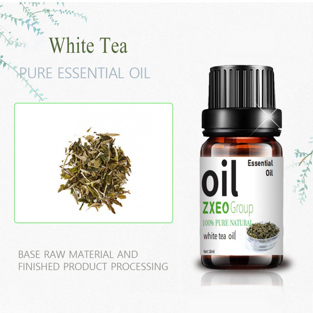 pure natural white tea essential oil massage oil aroma