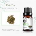 Pure Natural White Tea esencial Aceite de masaje Aroma