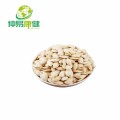 Pumpkin Seed Protein 60% Powder Pure Natural