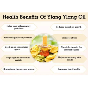 Atacado 100% de alta qualidade de alta qualidade Cuidados com aromaterapia Uso de grau cosmético Ylang ylang Óleo essencial em massa