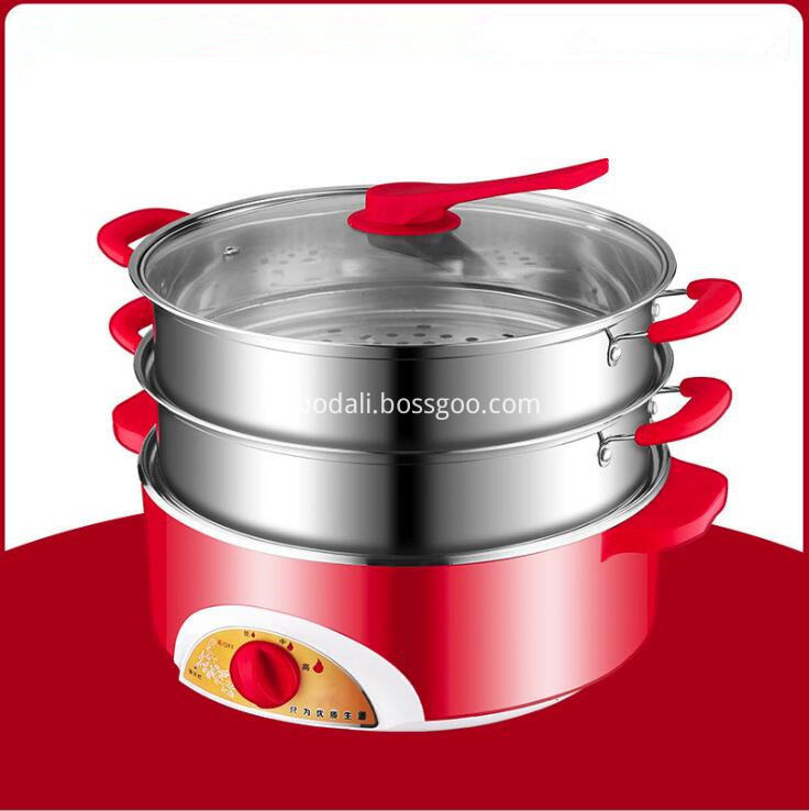 Electric Stainless Steel Cooking Pot