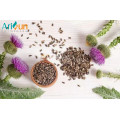 UV20%-95% Milk Thistle Extract Powder Silymarin/Silybin