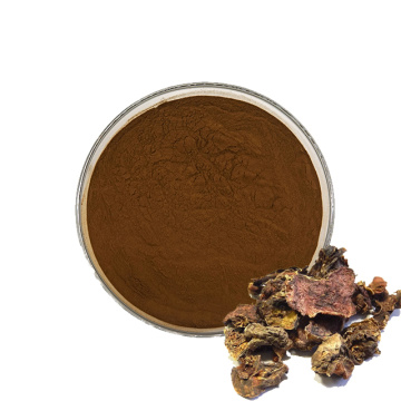 Wholesale rhodiola rosea extract powder