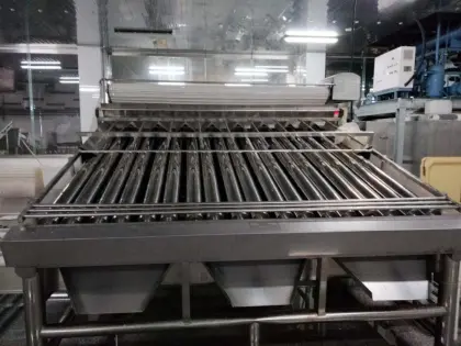 Shrimp And Fish Grading Machine