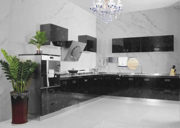Stainless Steel Kitchen Cabinets (BR-SS007)