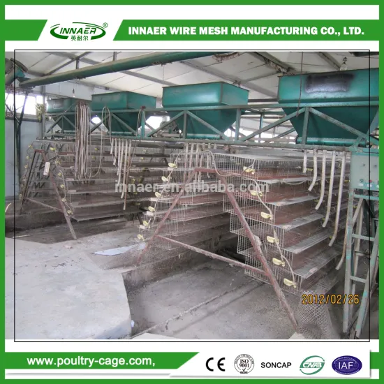 High quality factory price poultry equipment layer battery cage