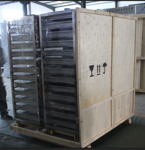 Black Garlic Fermenting Machine Packing