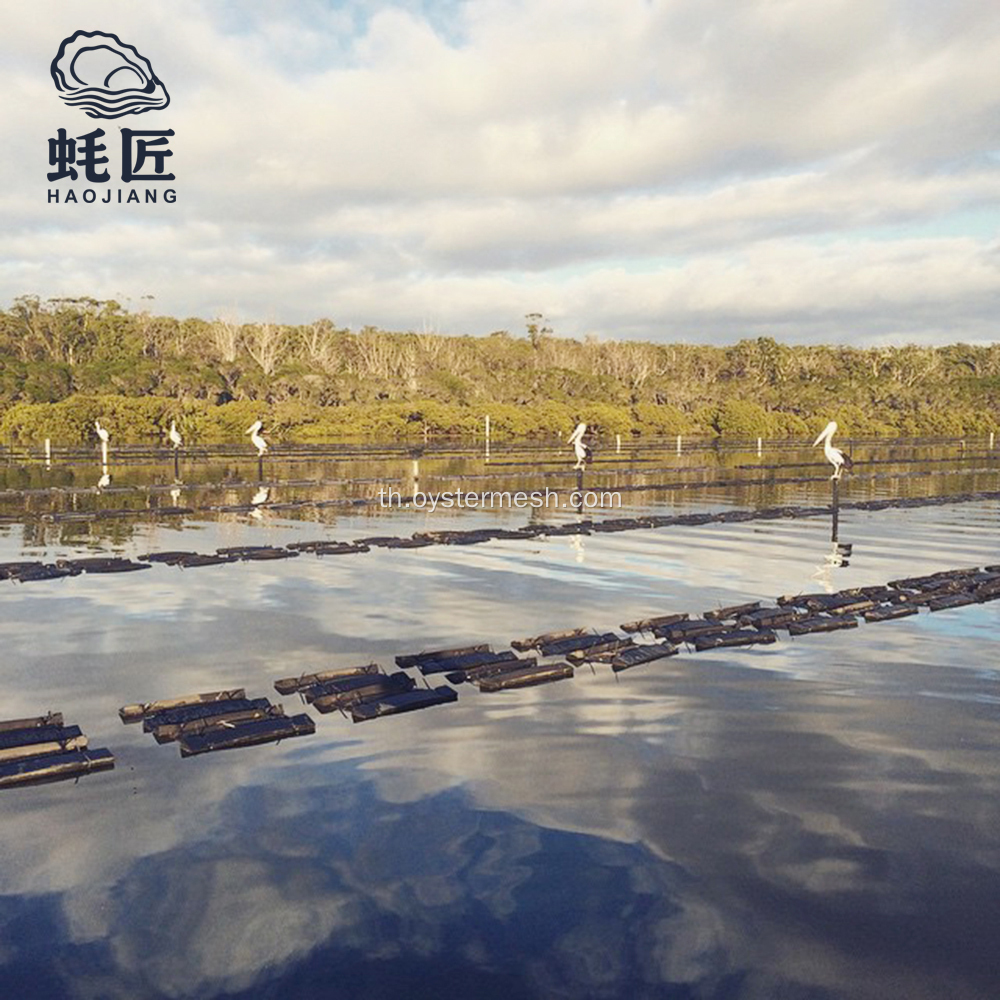 ถุงตาข่ายหอยนางรมโฟม ถุงเลี้ยงหอยนางรมแบบกำหนดเอง