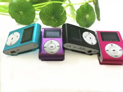 LCD Screen MP3 Player with clip /FM Sport MP3/OEM Logo