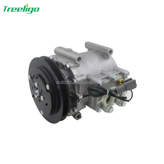 Auto Air Conditioner Compressor AKC200A251B for Mitsubishi Rosa and Fuso 12V AC
