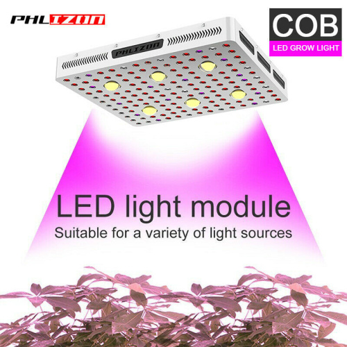 Uso de luz de cultivo LED COB de espectro completo
