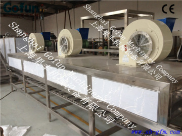 high efficiency commercial fruit drying machines/Dried fruits production line made in China